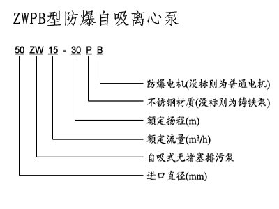 不銹鋼自吸泵,防爆自吸泵,排污自吸泵,ZX型自吸泵，ZW型自吸泵，無密封自控自吸泵，自吸泵圖片，自吸水泵，自吸泵廠家，自吸泵價(jià)格，上海自吸泵